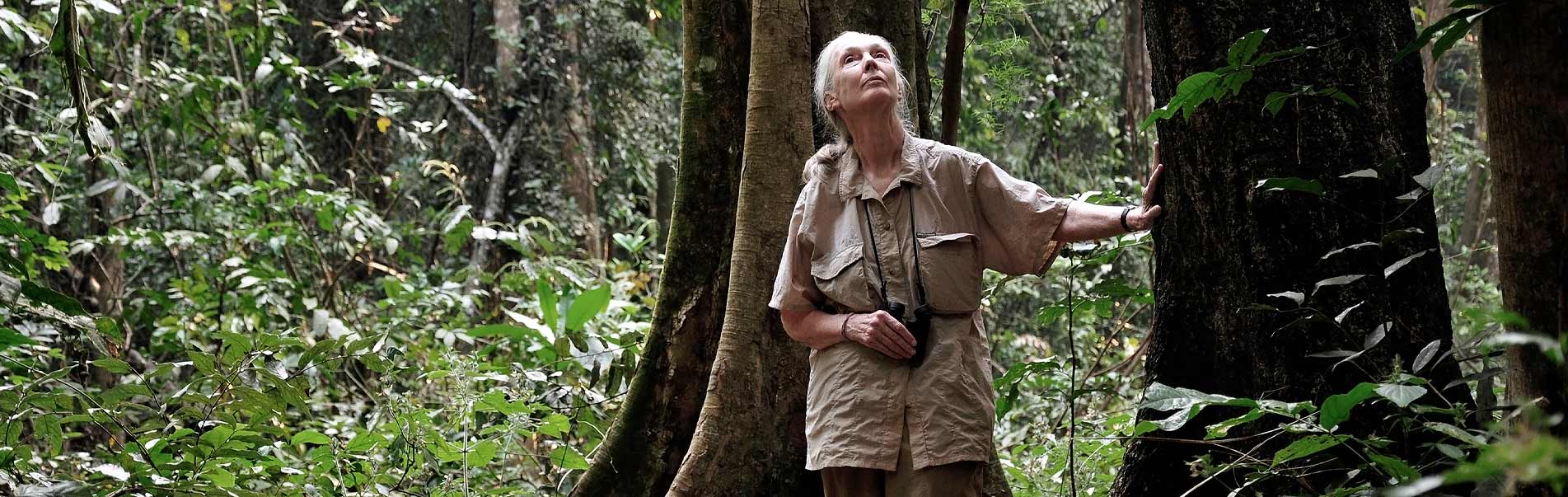 Jane Goodall sagt Danke!